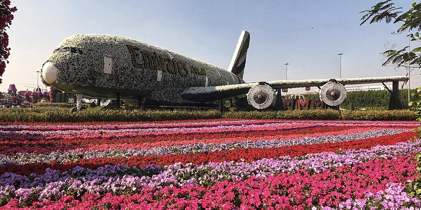 Masses of vibrant flowers form ornate arches and patterns over wide garden beds.
