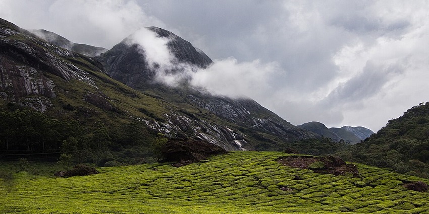 Scenic landscape view of Eravikulam National Park with hills and lush greenery.
