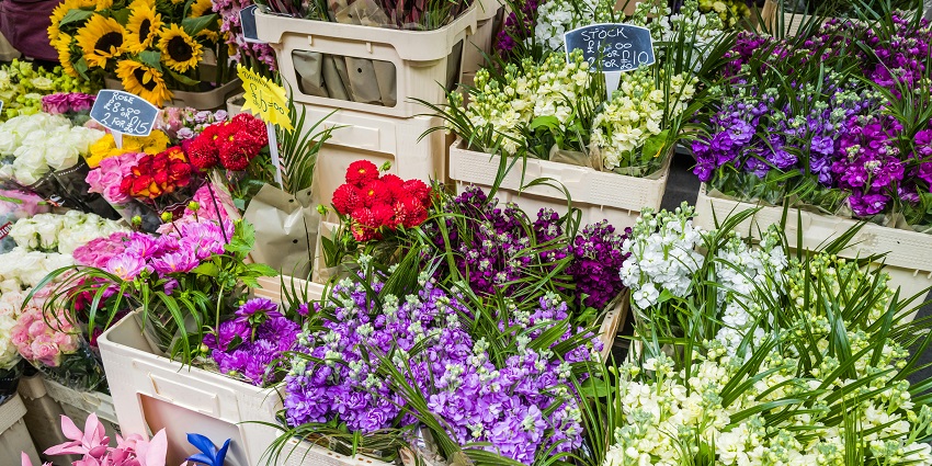 Flower store with vibrant blooms at Fa Yuen Street Market, part of the street markets in Hong Kong.
