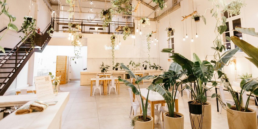 Interior of Frank Ross Café featuring wooden tables and chairs with hanging plants.
