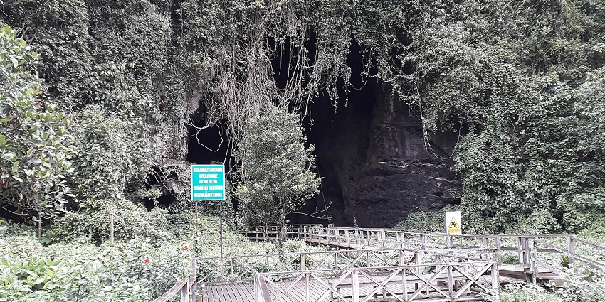 Interior view of Gomantong Caves with rugged limestone walls and natural light filtering in.

