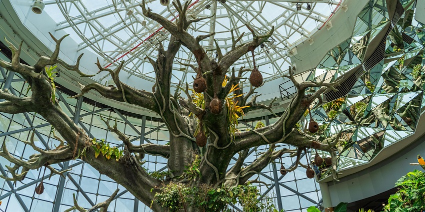 Multi-tiered artificial tree surrounded by a tropical ecosystem inside Green Planet Dubai.
