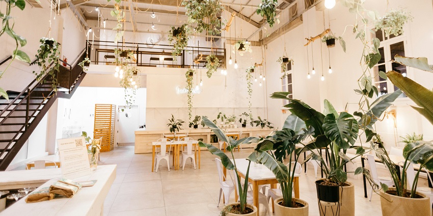 Cosy indoor setting of the Café Hashtag, with hanging lights, wooden tables, chairs and indoor plants, one of the cafes in Siliguri.
