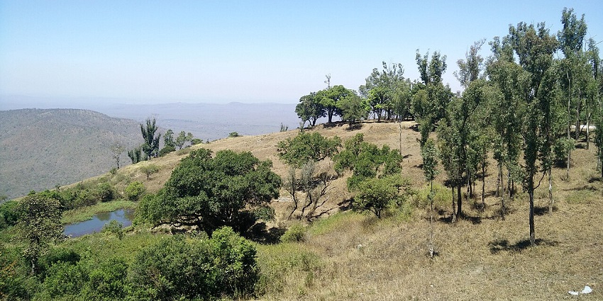 Scenic view of Himavad Gopalaswamy Betta hills with forests inside Bandipur National Park, one of the top national parks in Karnataka.
