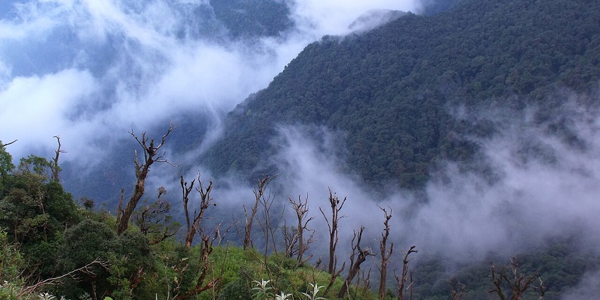 Mist drifting over forested mountain slopes in Hoang Lien National Park, Vietnam.
