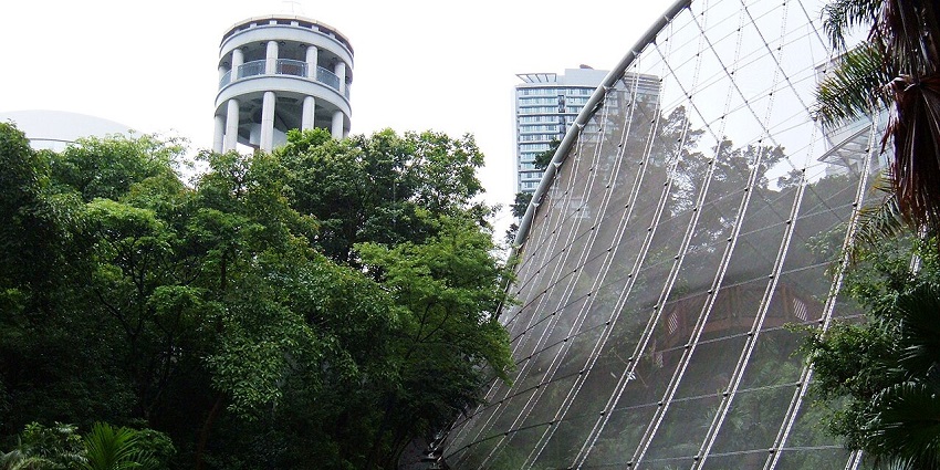A glass and steel dome structure with a staircase on the side is surrounded by trees and modern buildings.