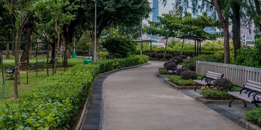 Paved path, benches, and trees in landscaped Hong Kong Park, one of the Parks in Hong Kong.
