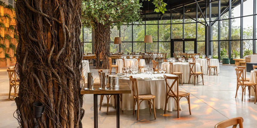 Elegant restaurant with round tables, floor-to-ceiling windows, and trees integrated inside.