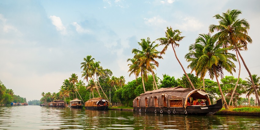 A breathtaking view of a few houseboats in Alleppey drifting on azure backwaters.