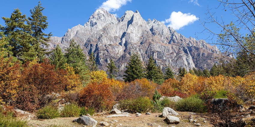Kinnaur Valley landscape showing green slopes and ridgelines beneath a clear mountain sky.

