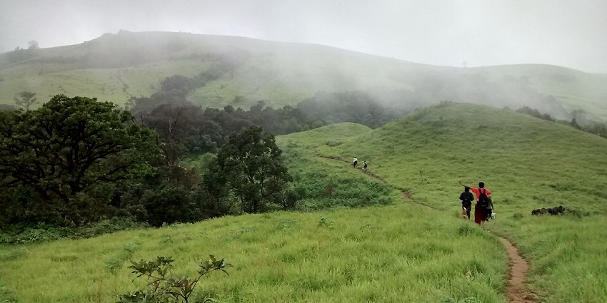 Hikers hike along a path through misty, grassy hills with scattered green trees, one of the popular places for trekking in Karnataka.