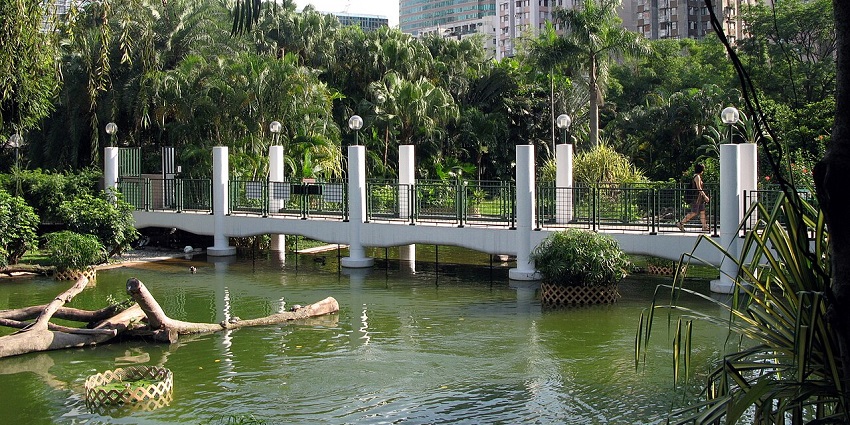 A person walks on a white bridge over a green pond with a modern city skyline in the background.