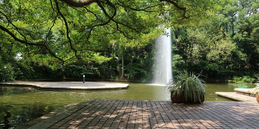 Fountain spraying water in a pond surrounded by trees inside Kowloon Park, Hong Kong.
