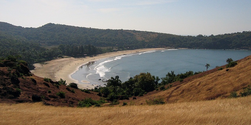 A scenic view of a wide, sandy bay framed by green, forested hills and dry grass.

