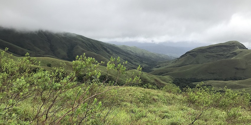 Rolling green hills and misty landscapes at Kudremukh National Park in Karnataka, India.
