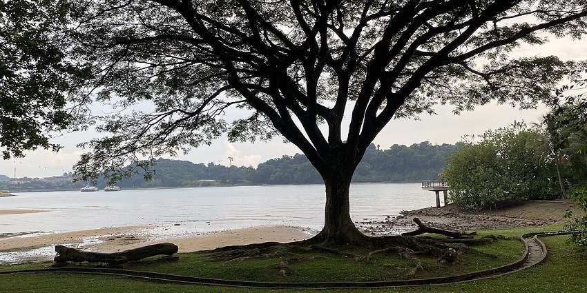 Labrador Nature Reserve in Singapore, with a large water body, distant boats and greenery.
