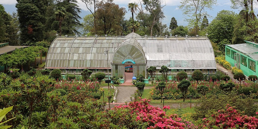 Lloyd’s Botanical Garden with greenhouse, tall vibrant trees and exotic flora, one of the offbeat places in Darjeeling.