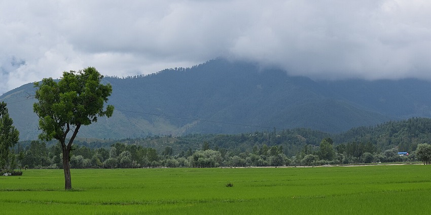 A view of the vast meadows of the Lolab Valley with a backdrop of cloud-covered hills, one of the popular valleys in Kashmir.