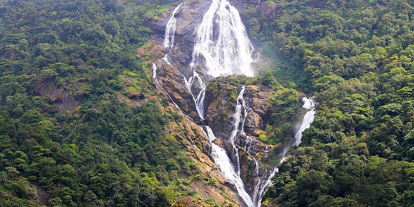 Dudhsagar Falls at Mollem Nature Park, one of the scenic parks in Goa.
