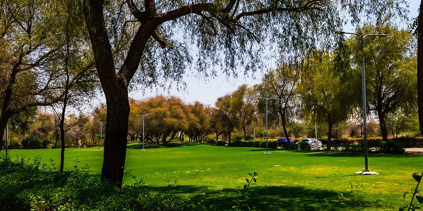 Mushrif Park showing wide green lawns among trees in Dubai under daylight sky.
