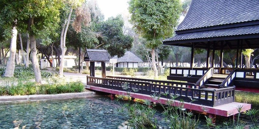 Pond at Mushrif Park is surrounded by trees and greenery, a hidden gem among parks in Dubai.