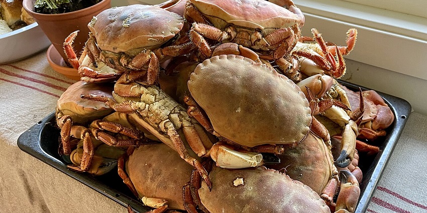 A close-up, top-down view of a whole cooked crab with red and white legs on a green leaf.
