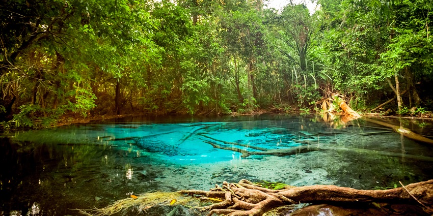 A mesmerising landscape of a blue lagoon in Krabi with trees in the background.
