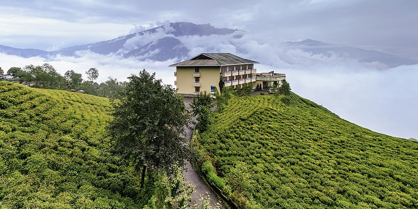 A resort building surrounded by lush green tea gardens and mountains covered in clouds, one of the beautiful hill stations in Sikkim.

