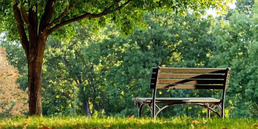 Green lawns and shady trees offering a calm space inside Nehru Park grounds.
