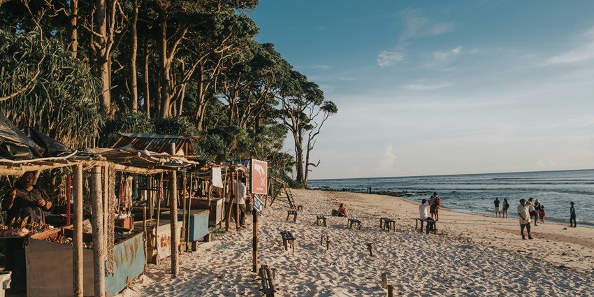A sandy beach with large trees and lush green plants is seen under a bright, sunny sky.