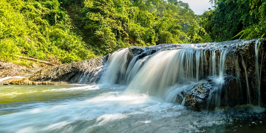 Netravali Waterfall, surrounded by forest and lush greenery, one of the top waterfalls in Goa.
