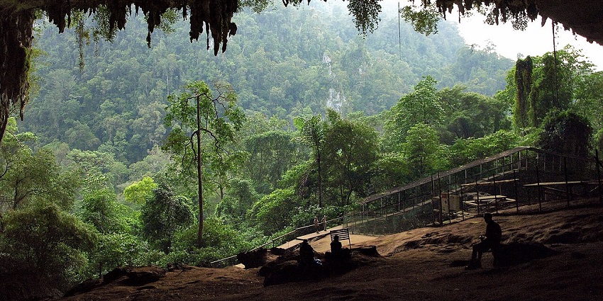 View from a cave opening showing lush green forest and sunlight filtering through.
