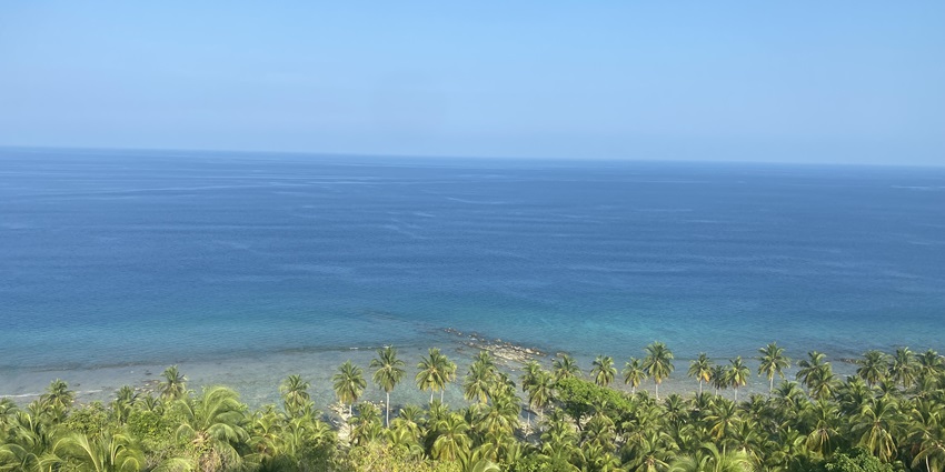A panoramic view from above shows a line of palm trees at the edge of a blue ocean.