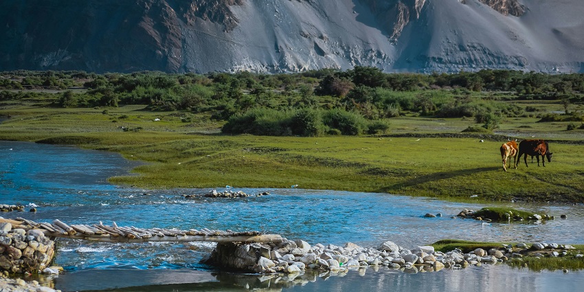 A verdant green valley with a village and fields is nestled between two large mountains.
