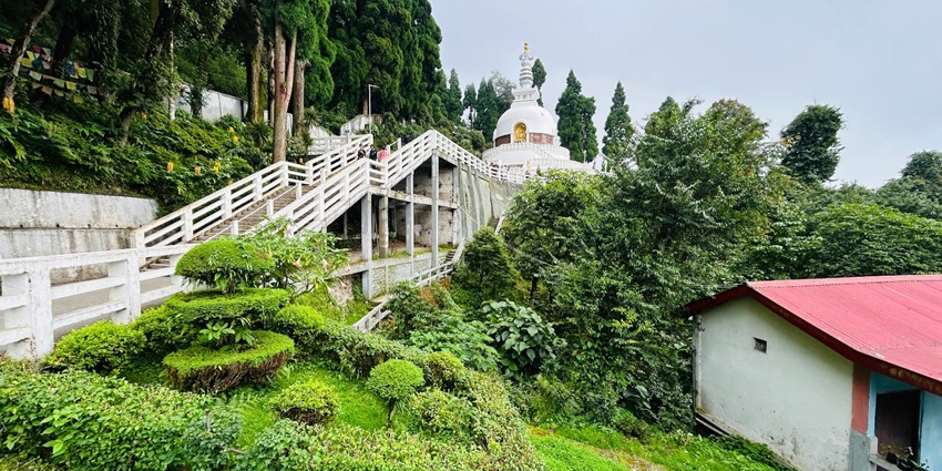 A scenic view of the Peace Pagoda, Darjeeling, surrounded by lush green vegetation.