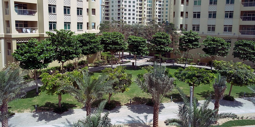 Lush green lawns with palm trees lining paths, under a clear sky in the park.

