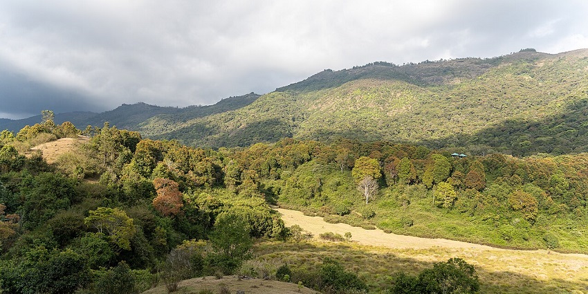 A hilly landscape with green forests, a lighter-colored field in the valley, and a cloudy sky overhead.
