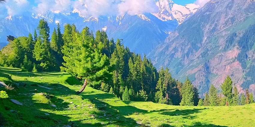 Pangi Valley view showing meadow grass with rough hills rising behind the fields.
