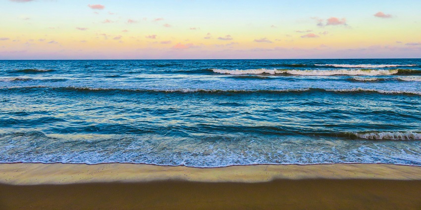 Seashore with sea waves during daytime at Monkey Beach in Penang National Park, showcasing the natural beauty of parks in Malaysia.

