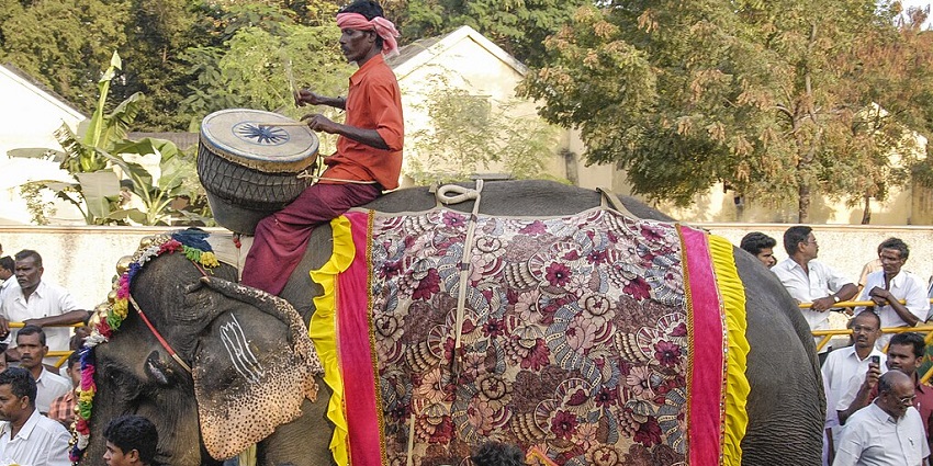 A man sitting on an elephant plays a drum at a procession during Pongal, one of the popular festivals in Tamil Nadu.