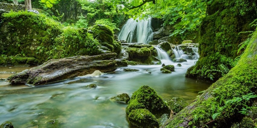 Seasonal waterfall flowing through forest near Ramnagar Beach, Andaman Islands.
