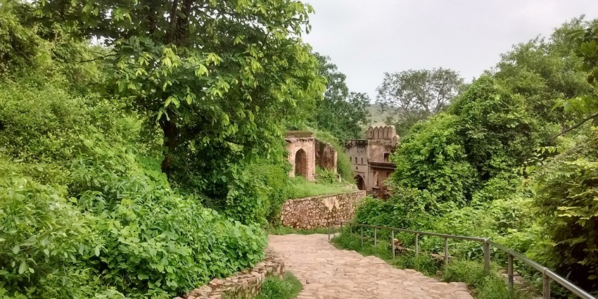 A long, stone-paved pathway winding through the ruins of Ranthambore Fort in Sawai Madhopur.
