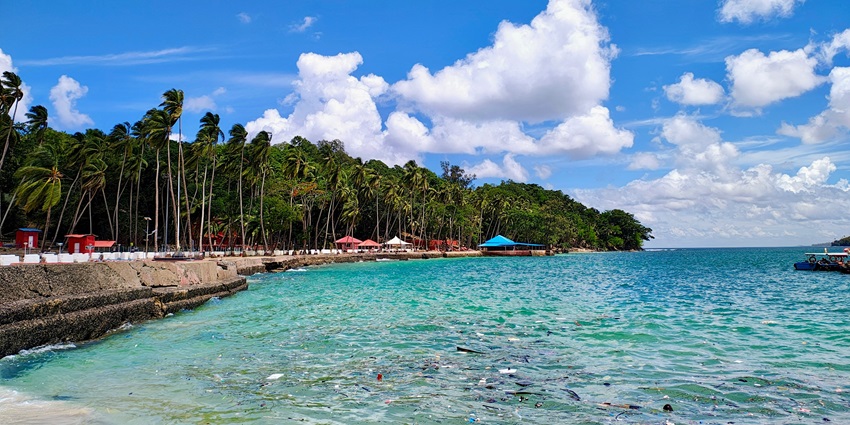 A sandy beach with palm trees and blue water on Ross Island in the islands in the Andaman.