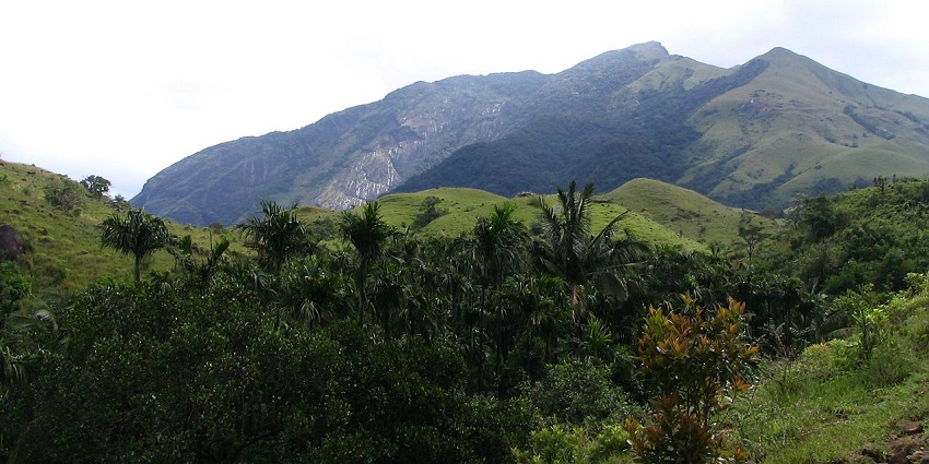 Rich, green hills with stony slopes, clothed in thick forests and tall trees.