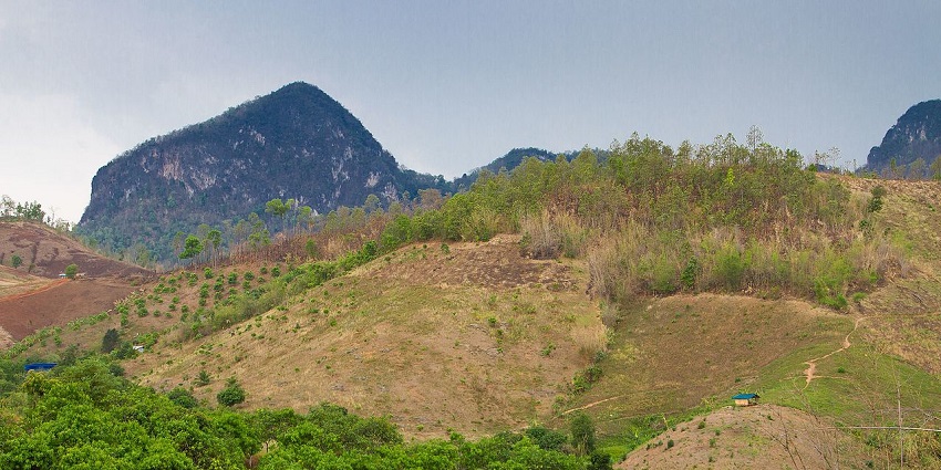 Mountain view with green hills, scattered trees, and clear sky in Si Lanna, one of the scenic national parks in Thailand.
