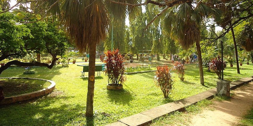 Lush greenery and walking paths inside Subhash Park, one of the famous parks in Kerala.
