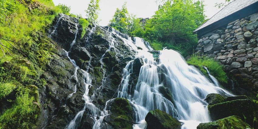 Surla Waterfall is surrounded by lush greenery and rocks, creating a peaceful natural scene.
