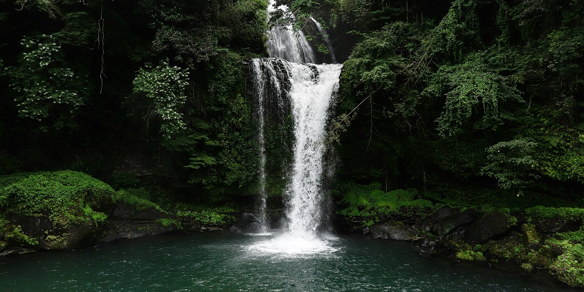 Tambdi Surla Waterfall flows through dense forest and is surrounded by lush greenery.
