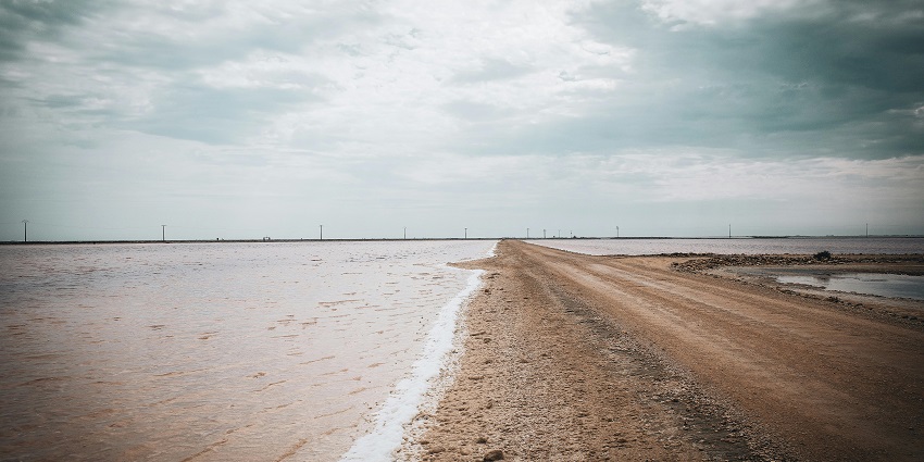 Expansive salt marsh of the Rann of Kutch with vast white salt flats under the cloudy sky.