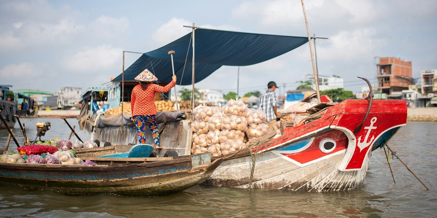 A view of many small boats on a river in front of a shore with houses and trees.
